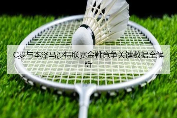 C罗与本泽马沙特联赛金靴竞争关键数据全解析